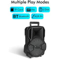 Portable Wireless 8 Inch Bluetooth Multimedia Speaker with FM Radio A8-3 - Al-Raheem Imports