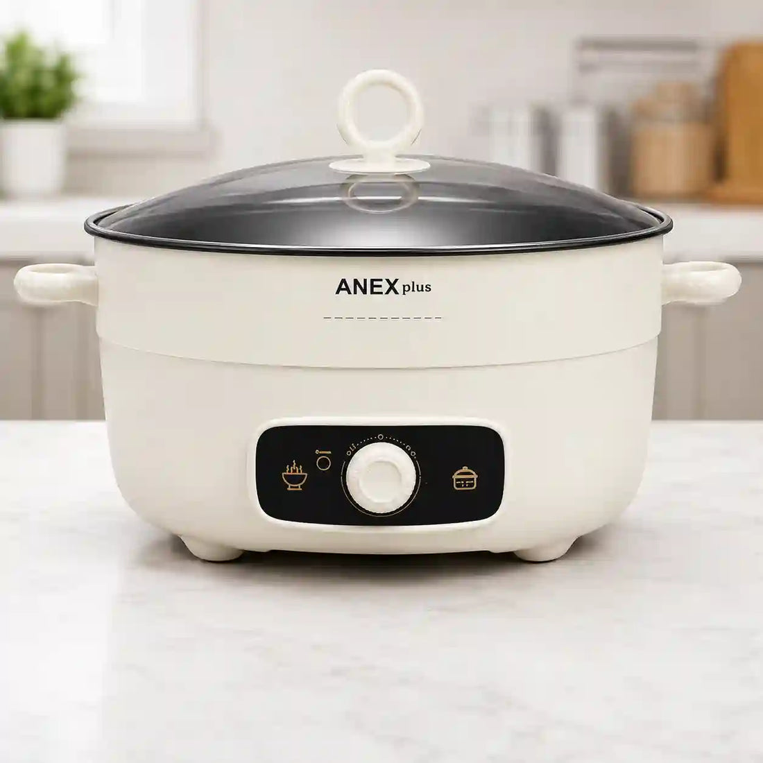 ANEX Plus 6.0L Multi Function Electric Cooker 1350W Power