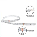 5M RGB Waterproof LED Strip Light12V Current With Remote Controller - Al-Raheem Imports