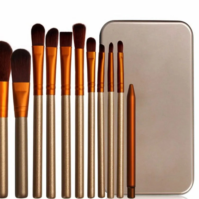 12-Piece Aluminum Box Makeup Brush Set for Eye Shadow, Lip Gloss, and Face