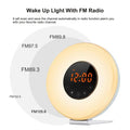 Wake Up Light Alarm Clock with FM Radio, Nature Sounds, Smart Snooze Functions, and USB Charger - Al-Raheem Imports