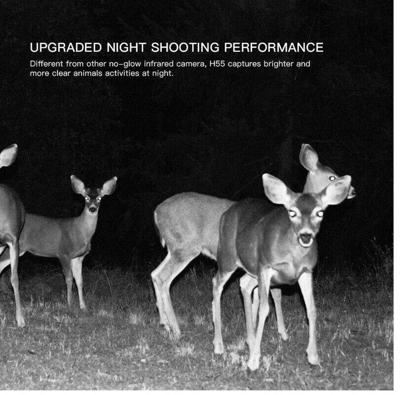 H55 16MP 1080p Night Vision Wildlife Trail Camera IP66 No Glow IR - Al-Raheem Imports