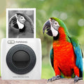 PAPERANG P2 300DPI Pocket Bluetooth Thermal Printer Mini Wireless Photo & Receipt Printer - Al-Raheem Imports