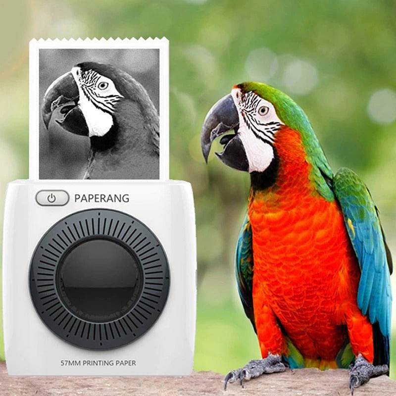 PAPERANG P2 300DPI Pocket Bluetooth Thermal Printer Mini Wireless Photo & Receipt Printer - Al-Raheem Imports
