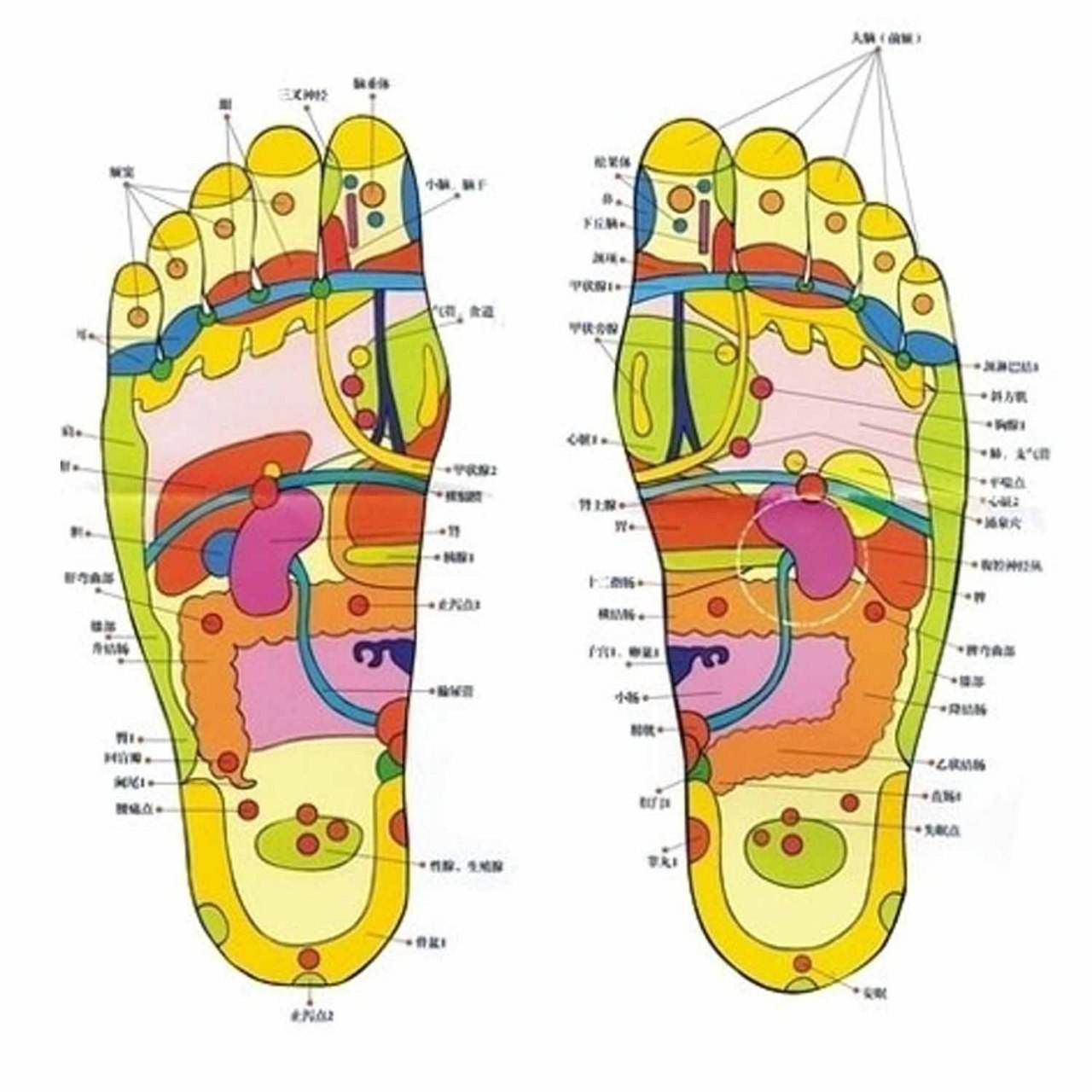 Kinoki Detox Foot Pads 10 Pads for Stress Relief, Detox Foot Care Therapy - Al-Raheem Imports