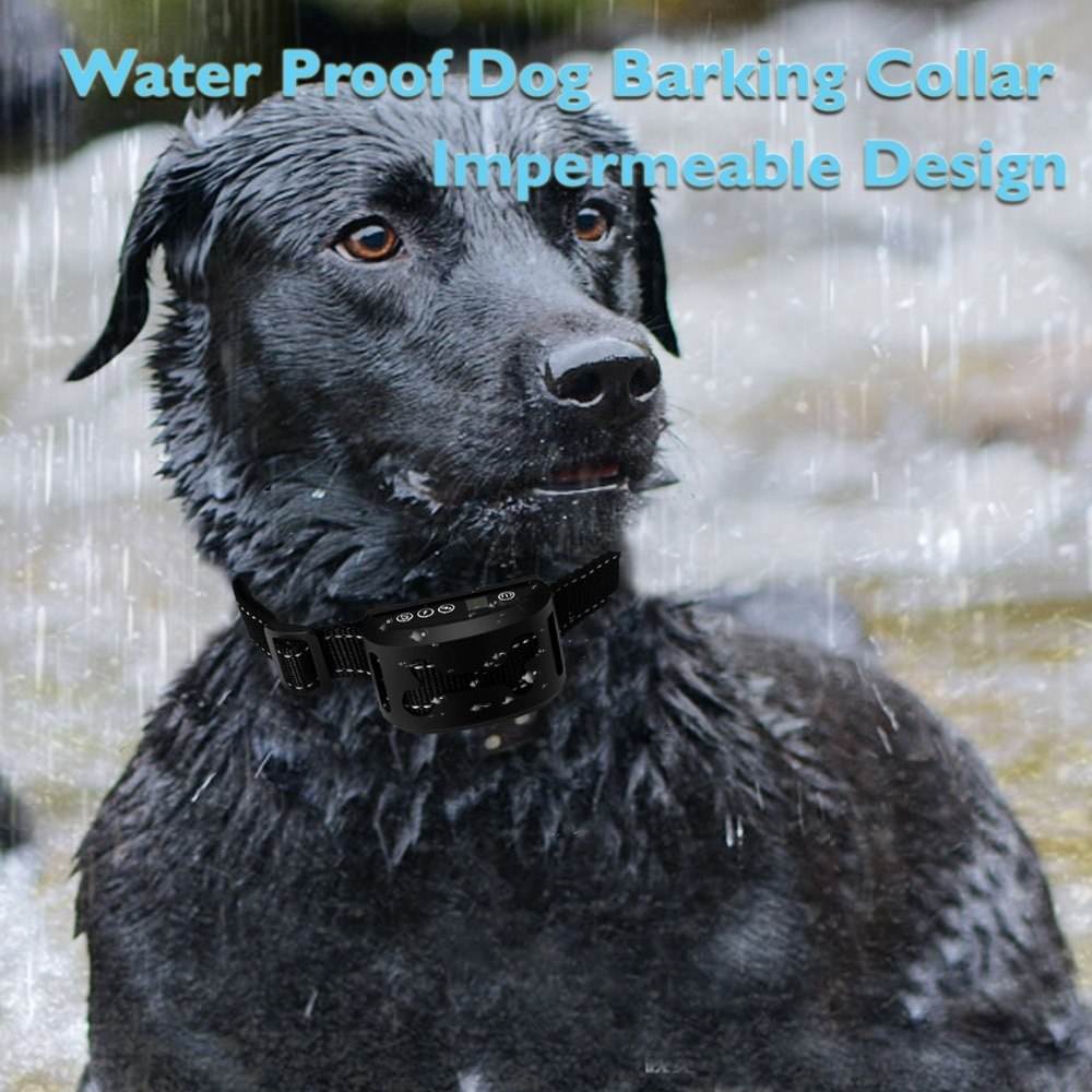 Rechargeable Waterproof Dog Training Collar with Beep, 7 Sensitivity Levels, Auto Barking Control - Al-Raheem Imports