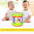 Wonderland Merry Go Round Musical Drum Toy with Lights & Sounds for Kids 3+ - Al-Raheem Imports